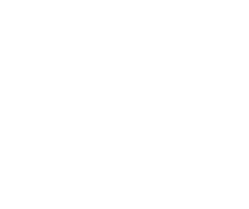Tian San Shipping